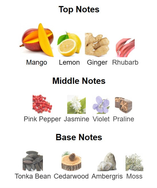 French Avenue - Vulcan Feu