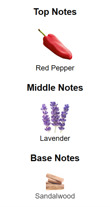 Hugo Boss - The Scent Elixir for Him