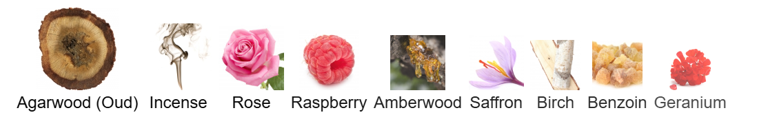 Louis Vuitton - Ombre Nomade