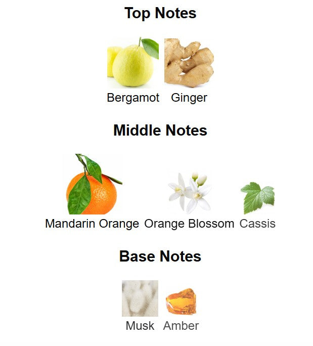 Zara - Sunrise On The Red Sand Dunes